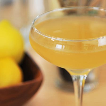 Bees Knees Bees Knees cocktail in a glass: combination of Whole Leaf Gin, lemon juice, and honey