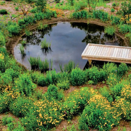 Delaware Botanical Learning Garden