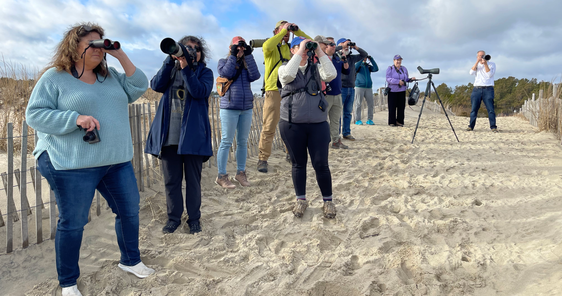 A group of people birding on the beach