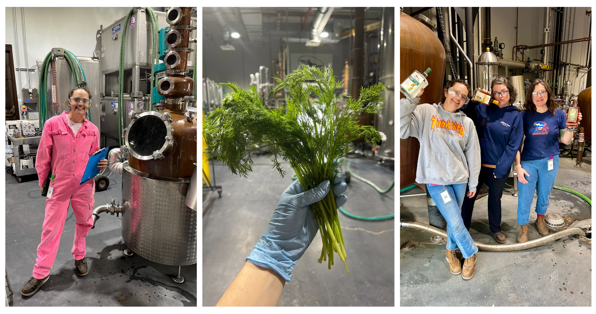 three photos of female distillers making a kelp flavored vodka