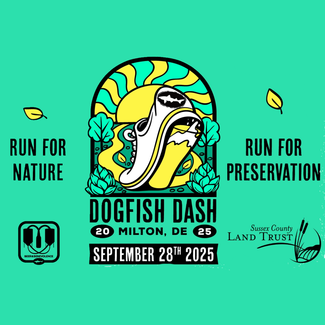 Dogfish Dash 2025