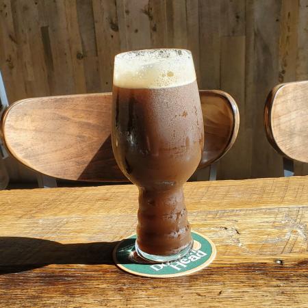 Beer in pint glass on bar