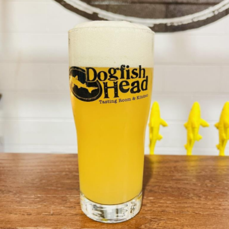 Dogfish Head beer Arrows of Neom that is hazy golden with a white head in a pint glass