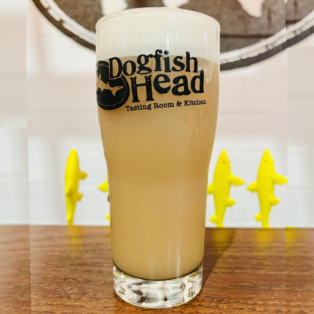 pint of golden, hazy session sour ale in a Dogfish Head pint glass