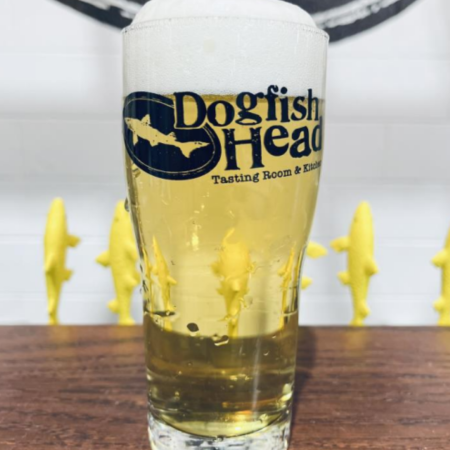 Pint of lager, a light golden yellow, beer in a Dogfish Head Tasting Room and Kitchen pint glass on top of a wooden bar