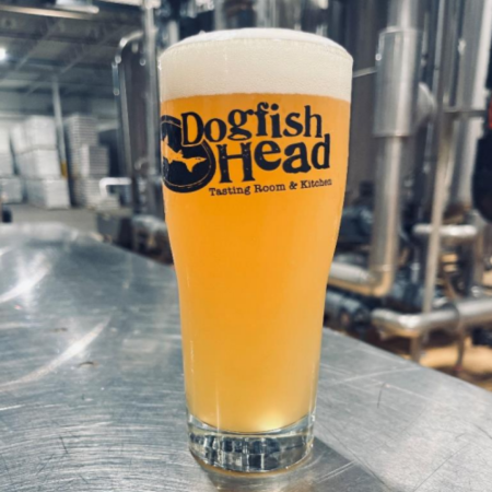 A pint of beer, with a hazy golden color, in a pint glass that says "Dogfish Head Tasting Room & Kitchen" with brewery pipes in the background