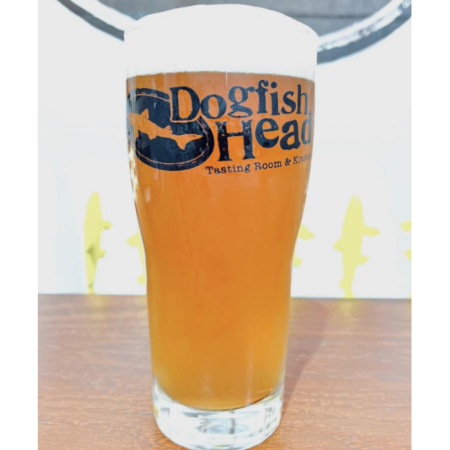 Dogfish Head beer Botanical Harmonics that is a hazy copper color in a pint glass