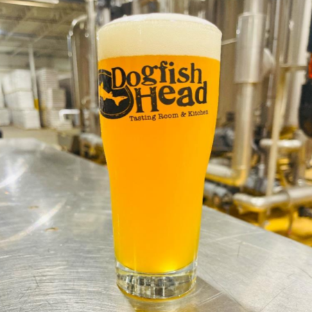 Dogfish Head beer Caught Up In Sunlight that iis hazy, pale gold with a white head in a pint glass