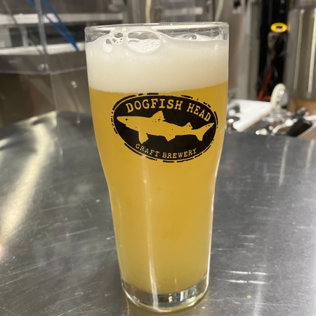 Dogfish Head beer Fontessa in a pint glass