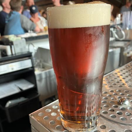 Beer in pint glass on bar