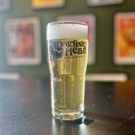 16 oz pint glass that says Dogfish Head Tasting Room & Kitchen on a bar top with a light, straw yellow colored beer in it