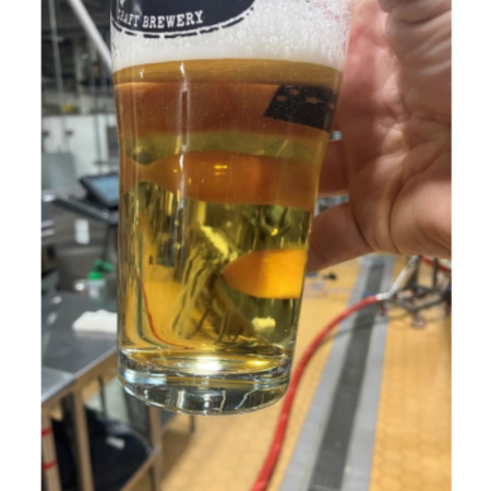 Dogfish Head beer Ideophone in a pint glass