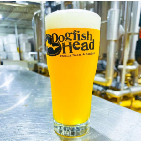 Dogfish Head beer Into the Sun in a pint glass