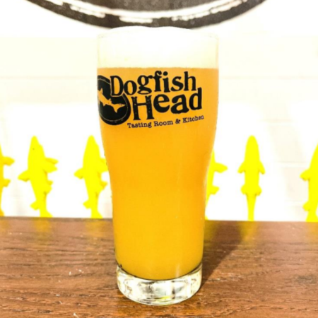 Dogfish Head beer Just Like Jericho that is hazy, pale, and golden in appearance in a pint glass