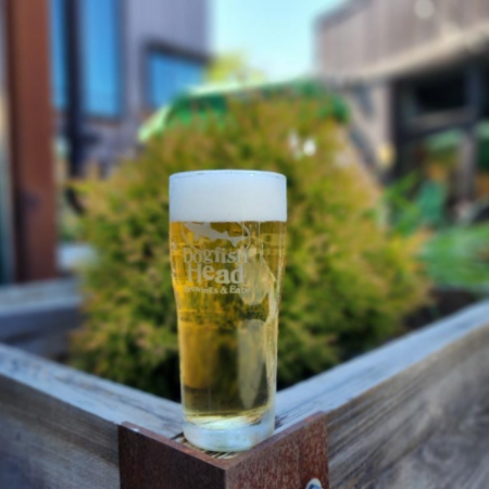 Dogfish Head beer Eddy and Maud that is Bright gold with white foam in a pint glass