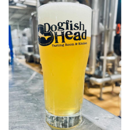 Dogfish Head beer Mount & Ocean that is hazy and pale with a white head in a pint glass