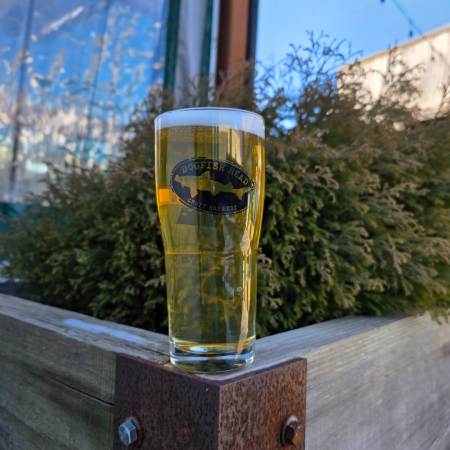 Dogfish Head beer Mystery Pils in a pint glass