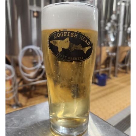 Dogfish Head beer Mystery Pils in a pint glass