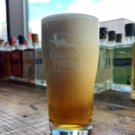 Beer in pint glass sitting on bar.