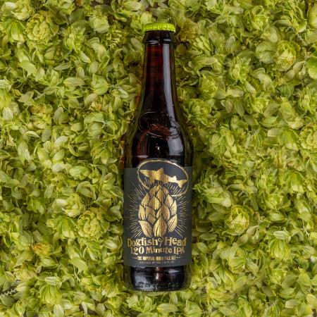 120 Minute IPA bottle laying on hops