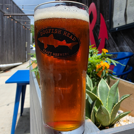 Dogfish Head beer Pre-Punk in London in a pint glass