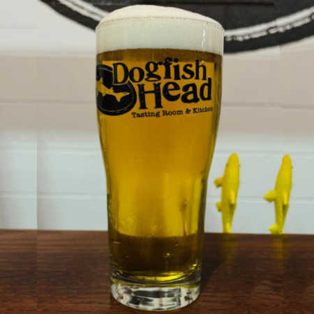Pint of imperial pilsener in a Dogfish Head branded glass in front of a wooden bar
