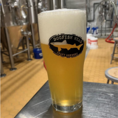 Dogfish Head beer Salsa Shrapnel in a pint glass