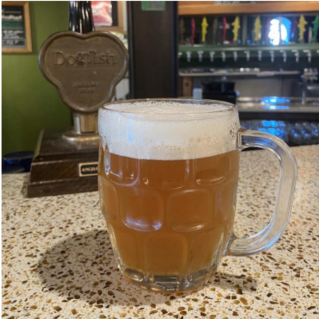 Dogfish Head beer Signal Jammer in a pint mug