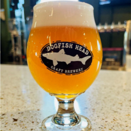 Dogfish Head beer Stay Out My Fizz-nass in a tulip glass