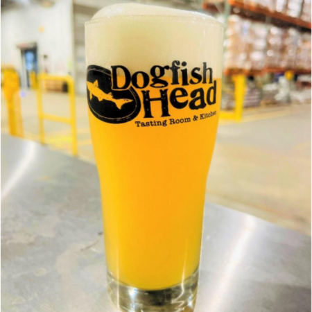 Dogfish Head Brewery's new American IPA beer in a pint glass