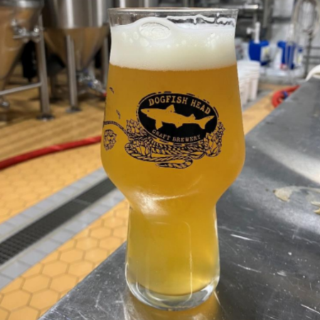 Dogfish Head beer Third Stream in a pint glass