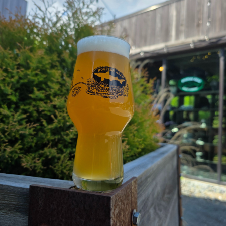 Dogfish Head beer Wasn’t Very Fuzzy in an IPA glass