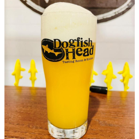 Dogfish Head beer Glimpses of Reality in a pint glass