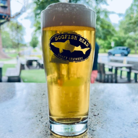 Dogfish Head beer Lil' Dogie in a pint glass