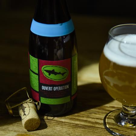 Dogfish Head Overt Operation Wild Ale bottle