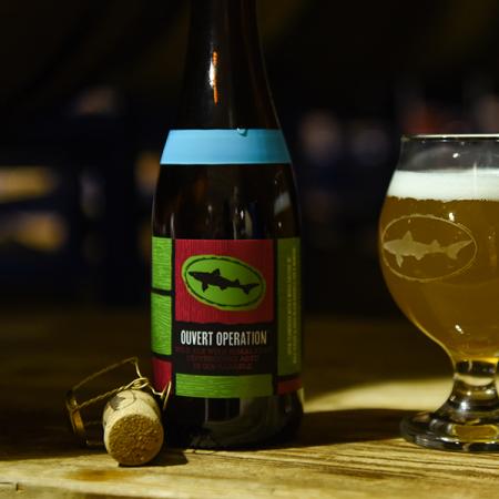 Dogfish Head Overt Operation Wild Ale bottle