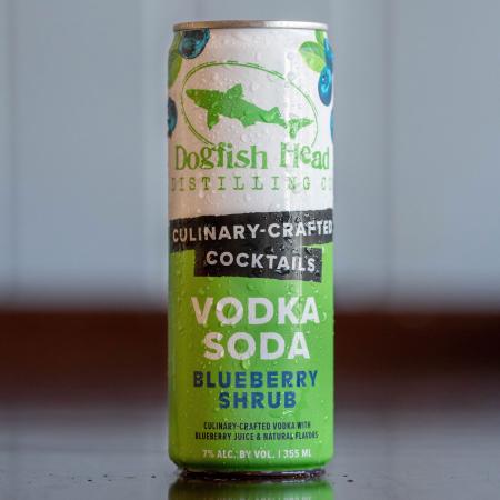 Blueberry Shrub Vodka Soda
