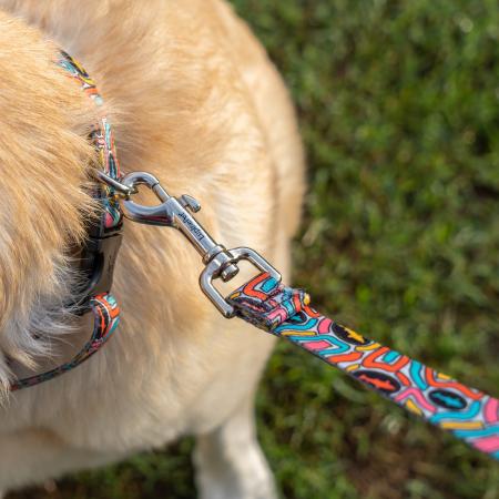 Close up of leash and clasp