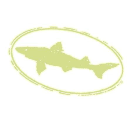Shark & Sheild Logo Decal