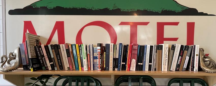 Book collection lined up on a book shelf