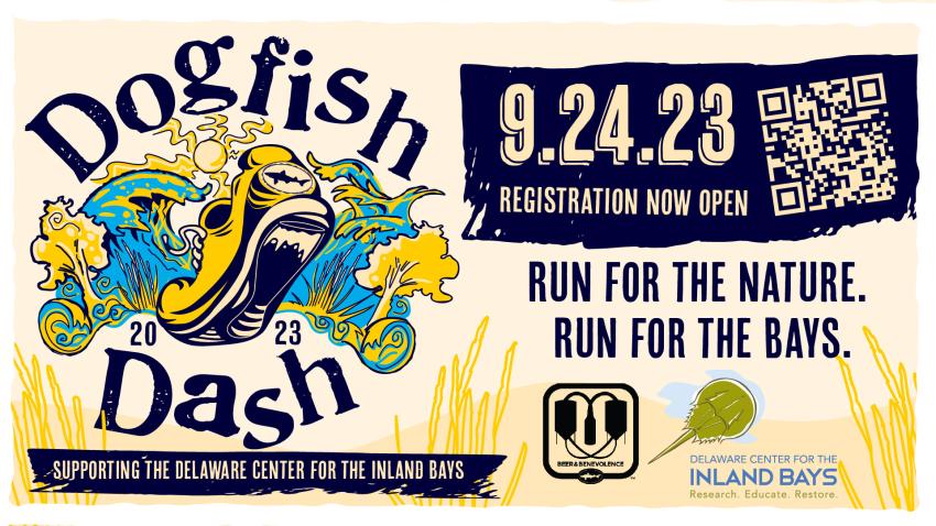 Dogfish Dash 2023