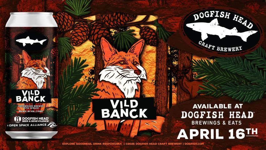 illustration of a fox in the woods and a can of Dogfish Head beer VILD BANCK