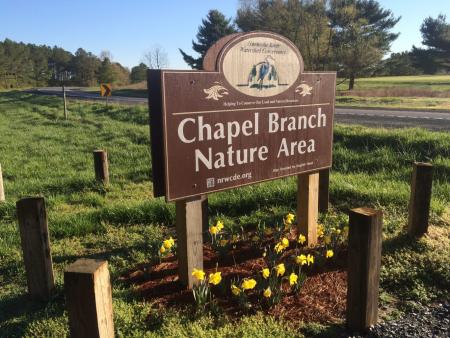 Sustainability Day at Chapel Branch Nature Area Sustainability Day at Chapel Branch Nature Area