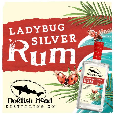 Silver Ladybug Rum Release