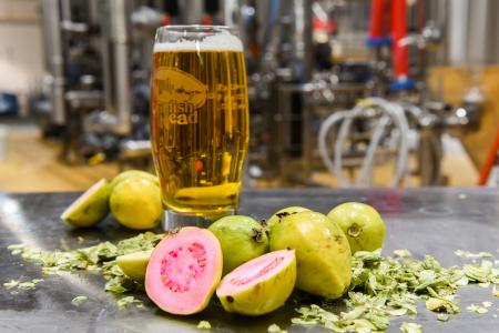 Firefly Ale - Guava Firefly Ale - Guava