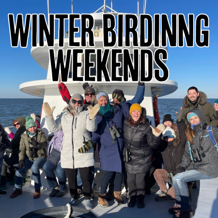 Winter BirdINNg Weekends