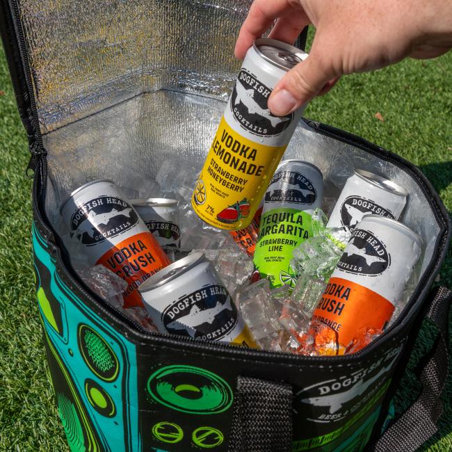 Colorful Dogfish Head cube cooler bag styled with retro stereo speaker graphics, insulated silver interior, and black carry straps.