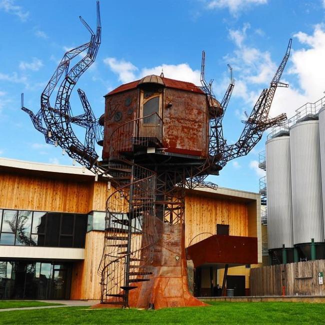 The actual treehouse