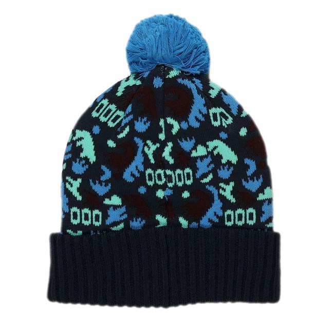 Patagonia Black and Blue Pom Beanie