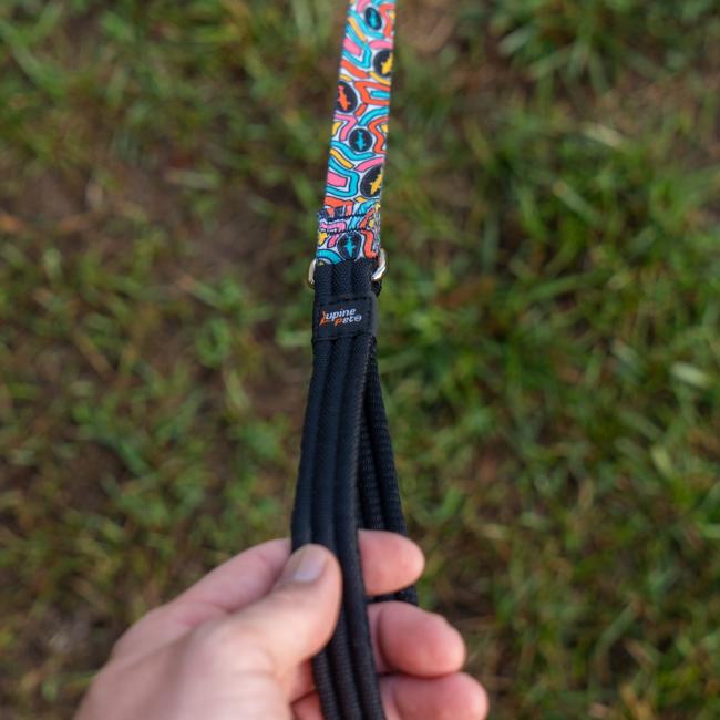 Close up of leash handle